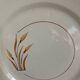 10 dessert plates