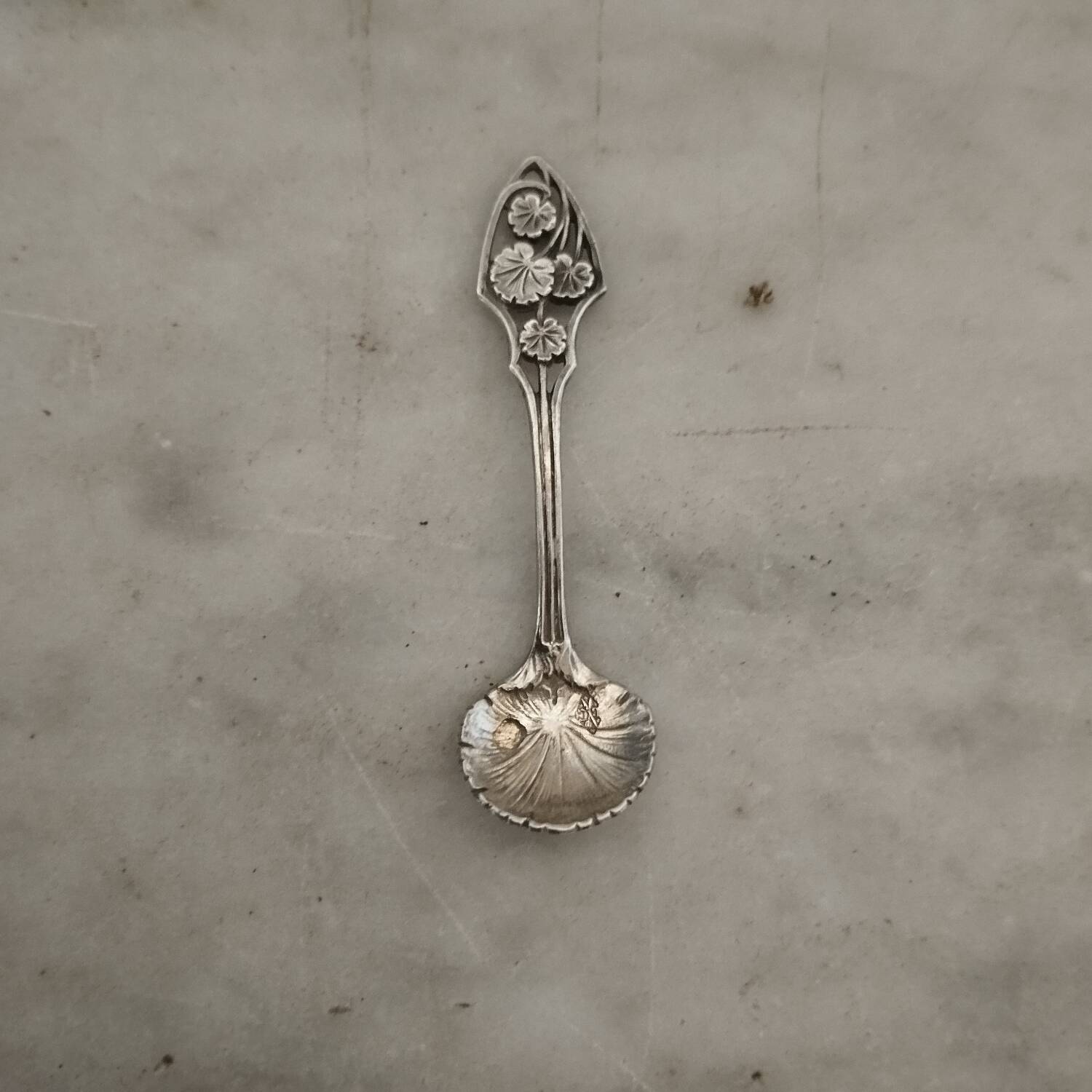 6 salt shakers and spoons in solid silver art nouveau