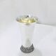 Timbale en argent et vermeil Israel
