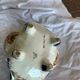 Rouen porcelain planter
