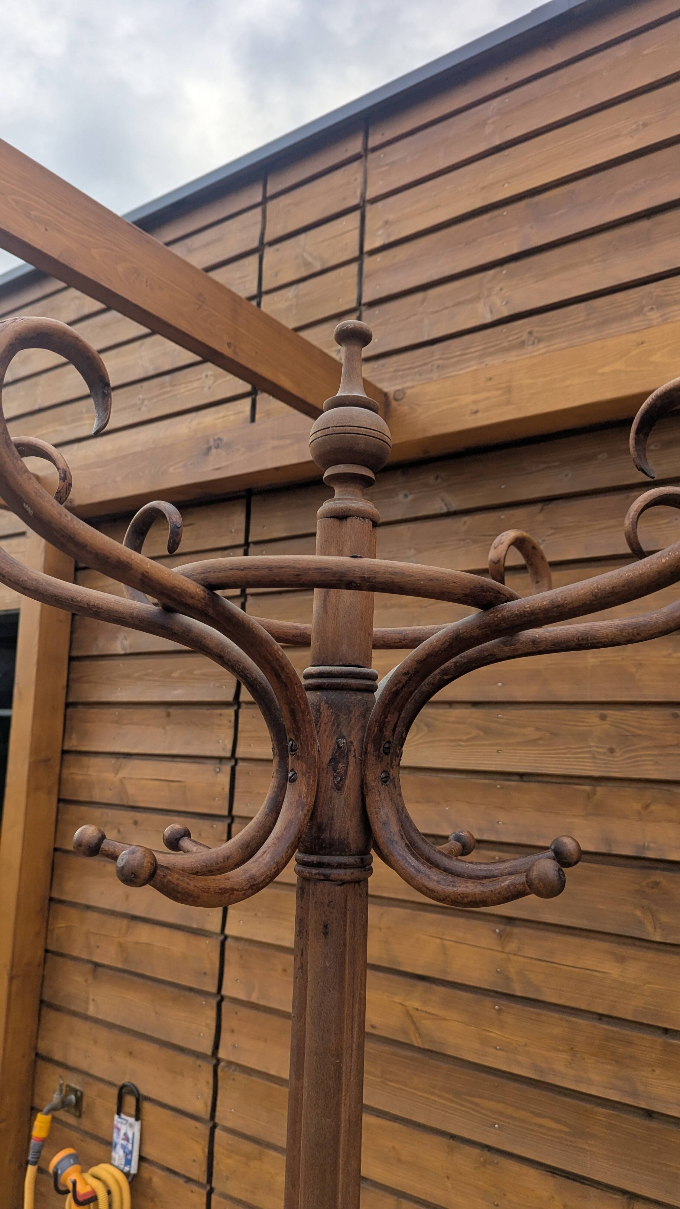 Porte manteau Perroquet en bois courbé