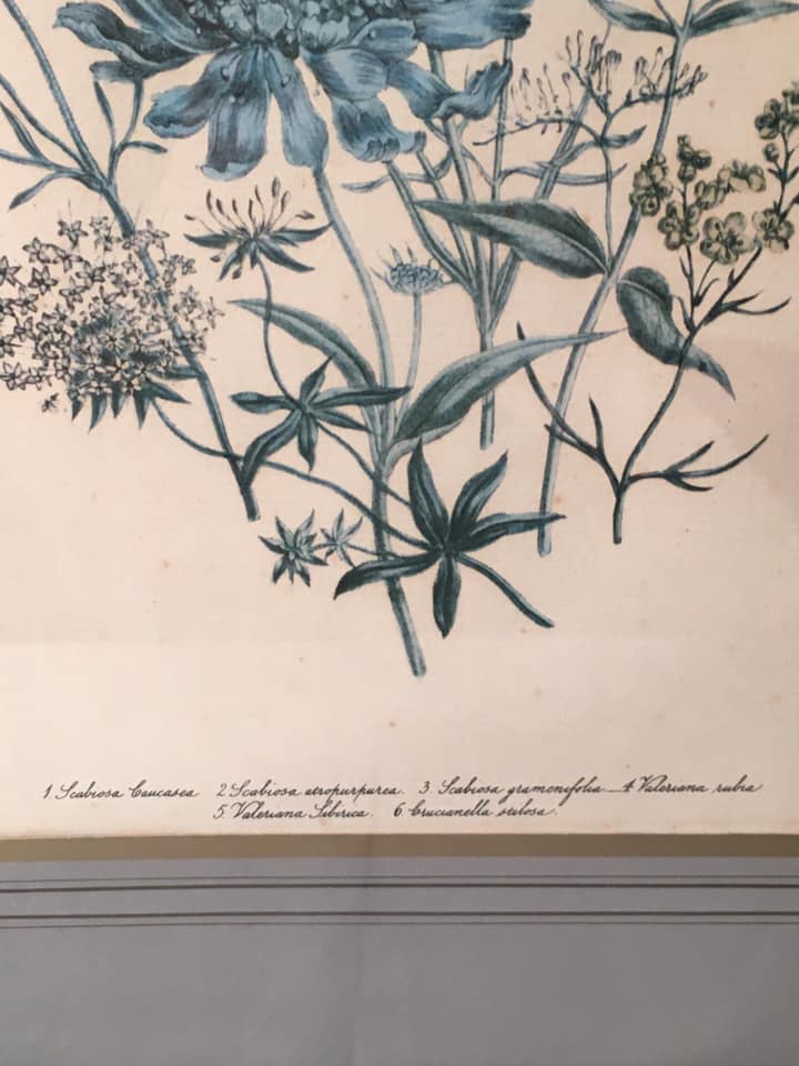 Table flowers under glass with wooden frame