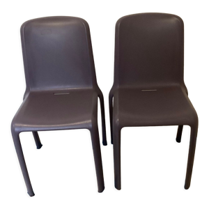 Paire de chaises Pedrali, - design italien