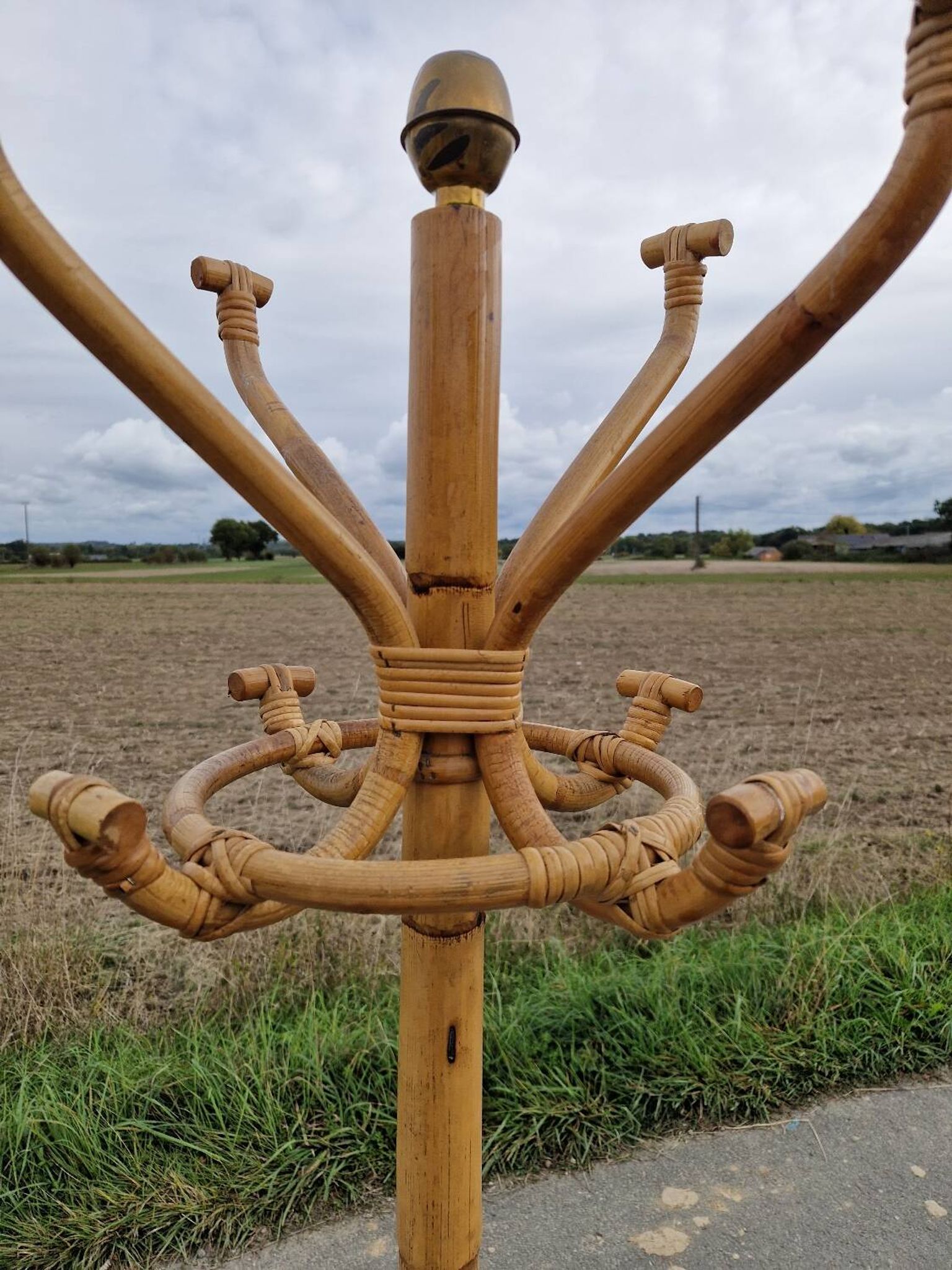 Vintage rattan parrot coat rack