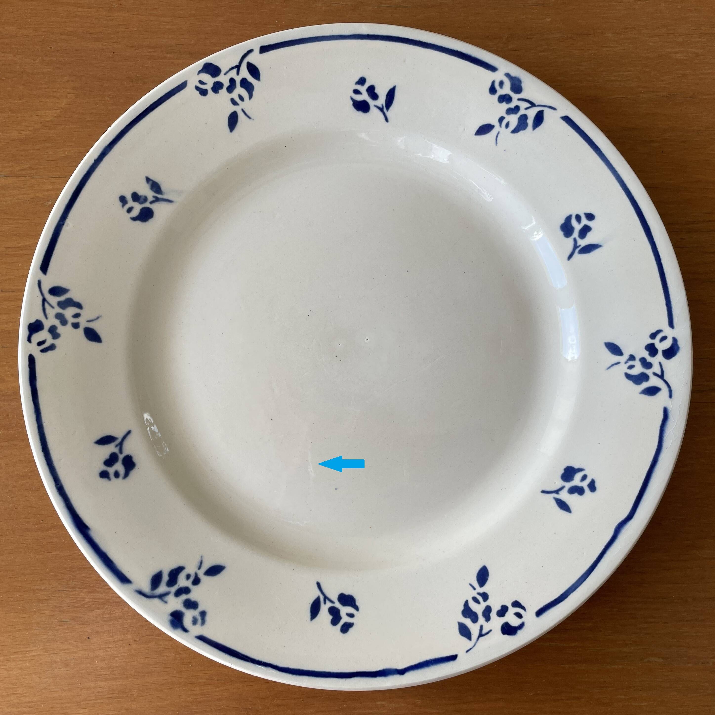 6 assiettes plates anciennes en faïence de SARREGUEMINES