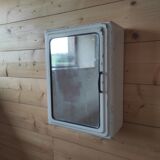 Toilet or pharmacy cabinet with mirror