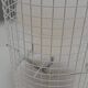 Metal and glass Gino Sarfatti Model 1102 floor lamp for Arteluce