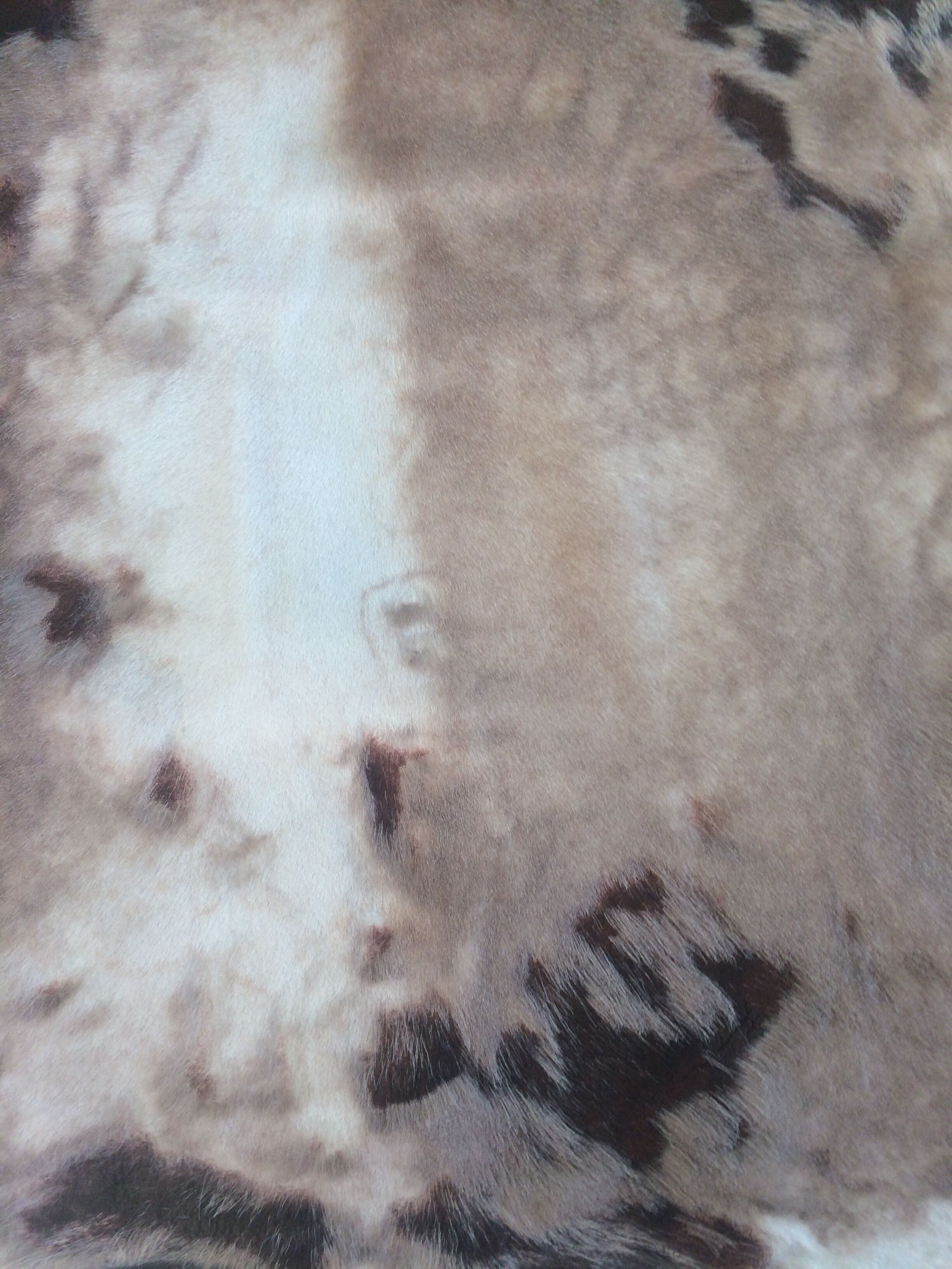 Skin several shades goat