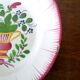 Pair of earthenware plates Les Islettes XIXth century