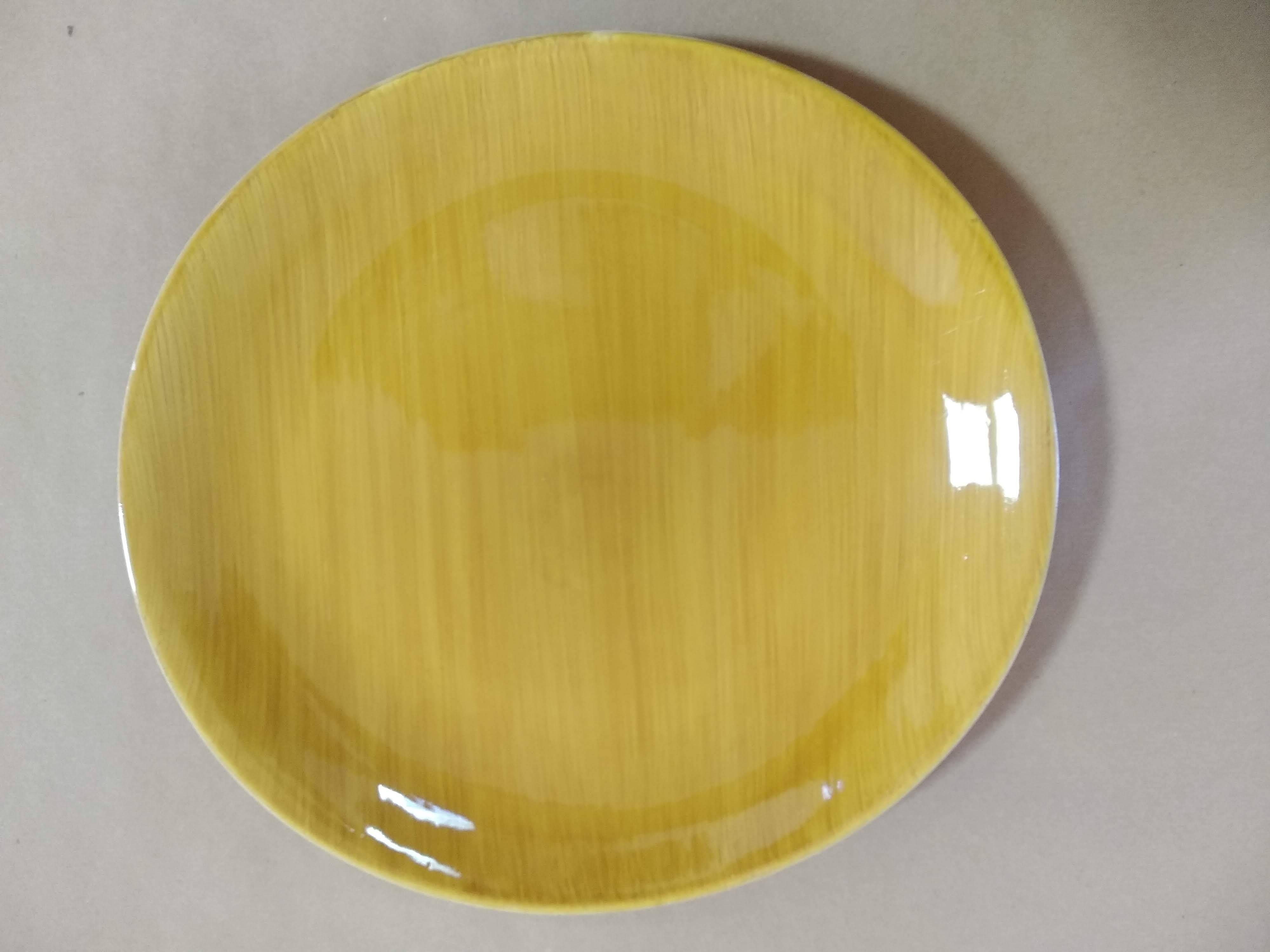 Salins Earthenware Dinner Service, Provence Model, 70'