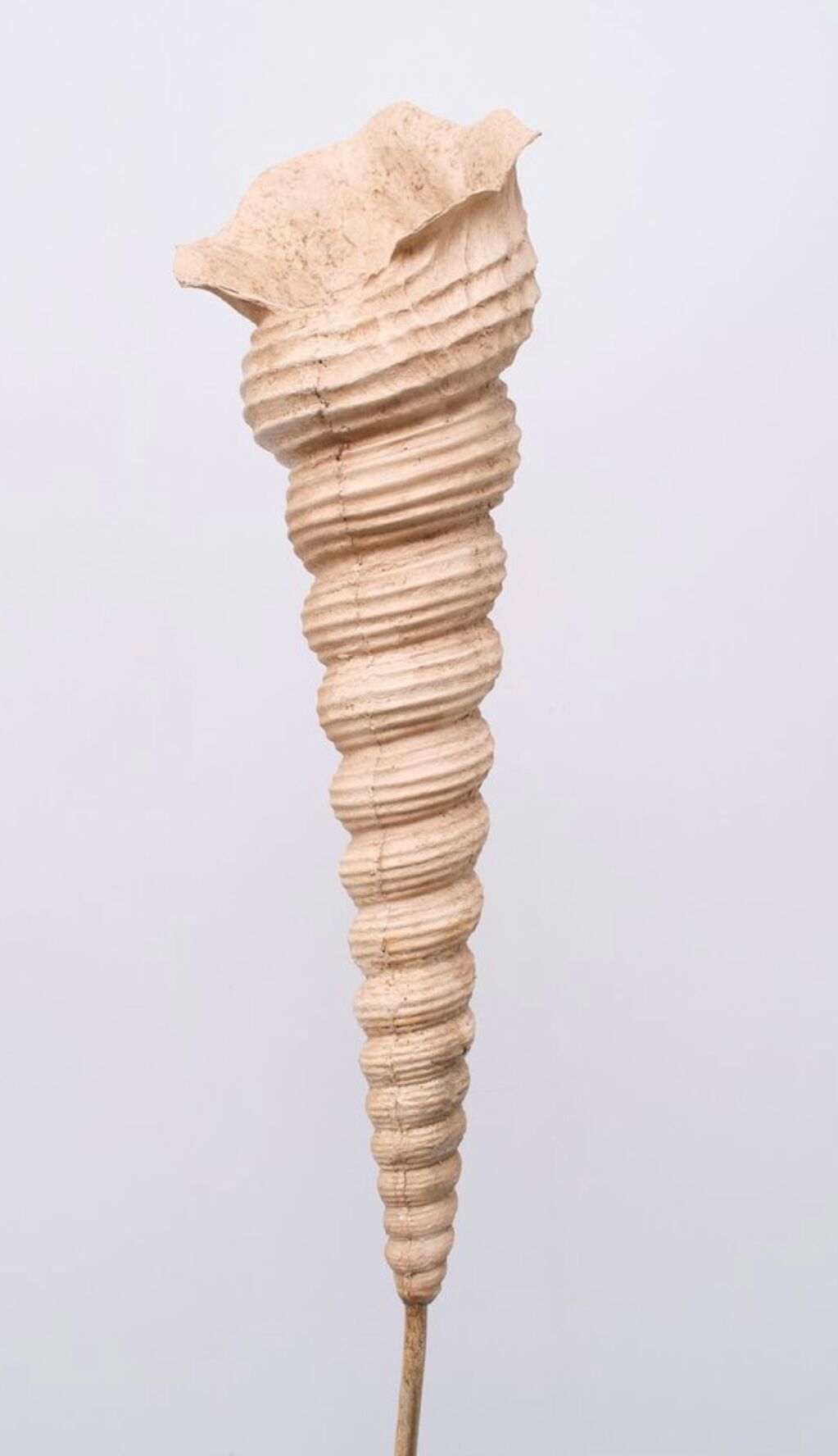 Floor lamp Shell "Ariell" by IIhan Koman 80s