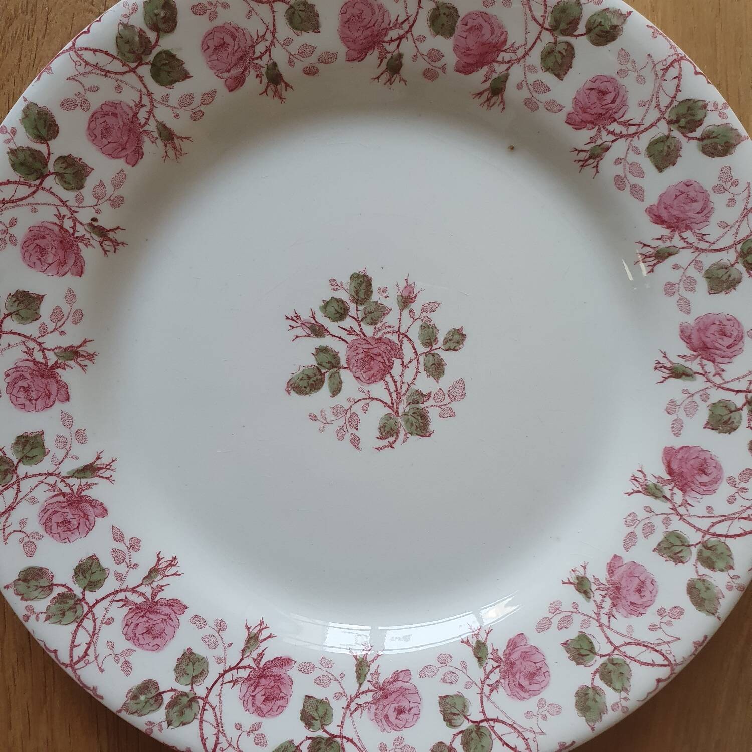 6 Terre de Fer Gien plates