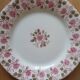 6 Terre de Fer Gien plates