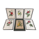 Set of six framed reproductions of roses, illustrations by P.J Dreaded