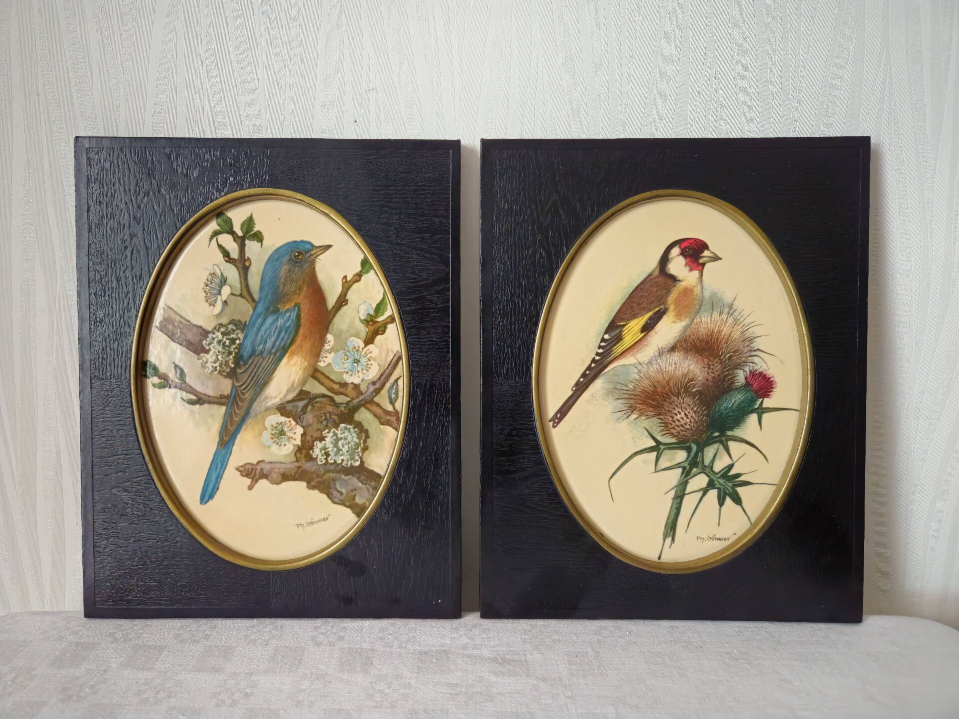 Paire de gravures encadrées oiseaux vintage