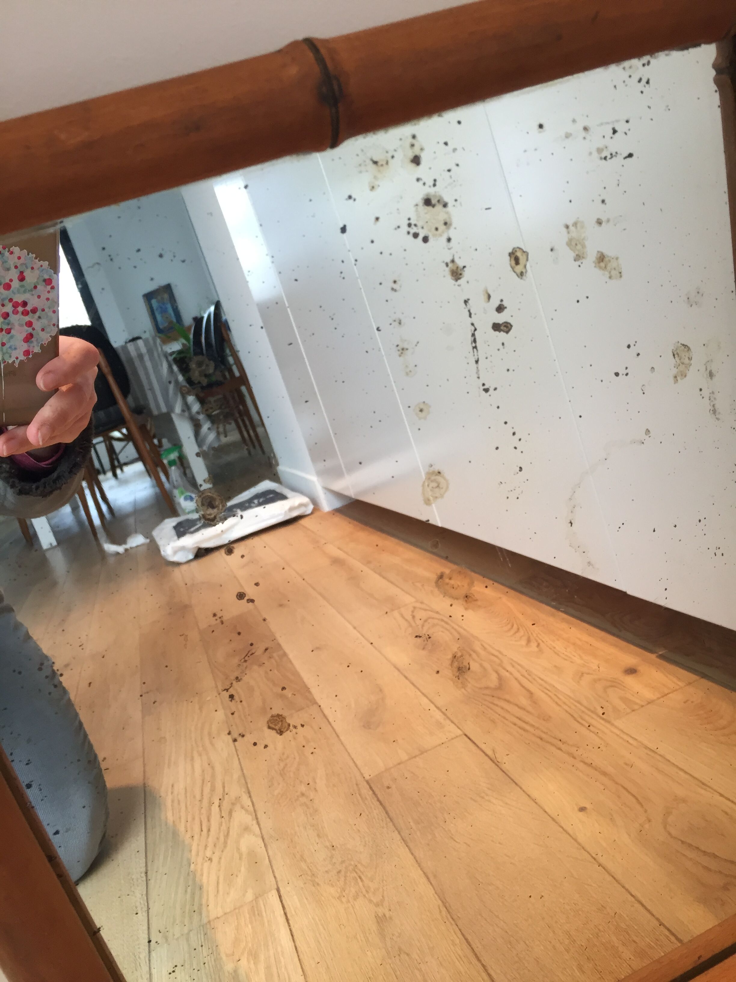 Mirror bamboo vintage 50/60s - 49x62cm