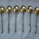 6 spoonfuls of silver and gold metal coffee