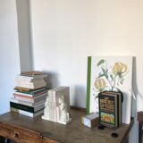 Pair of greenhouses book cat