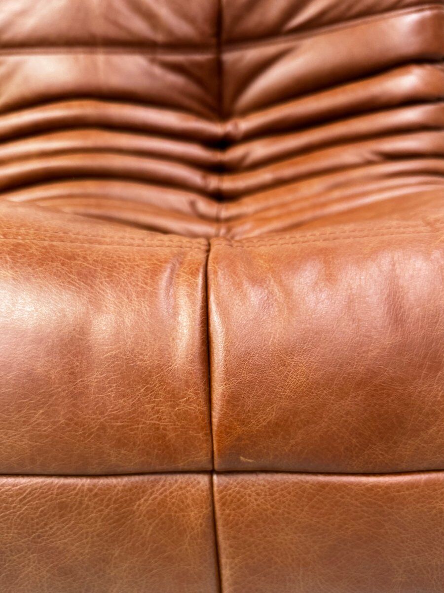 Togo sofa in cognac cowhide by Michel Ducaroy for Ligne Roset.