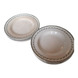 Set of plates in Iron earth we Gien