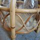 Vintage rattan bottle holder/server