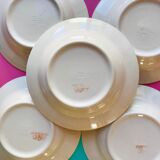 Hollow plate in faience pattern vintage blue bird j.v liex