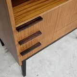 Office Secretary by Frantisek Mezulanik for Up Zavody 1960