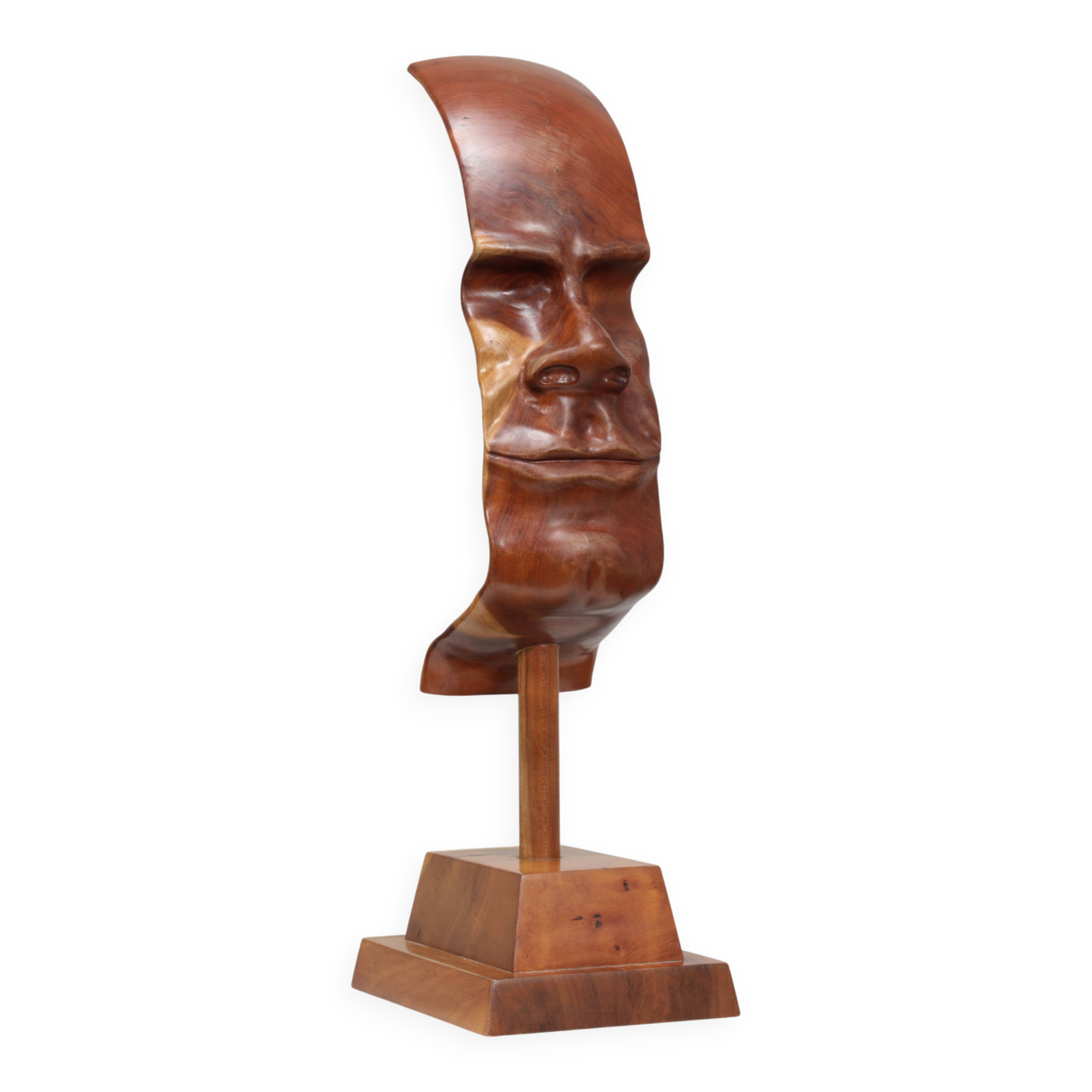 "Profile II" hand-carved 3D sculpture by Lawrence Schneider, 2007