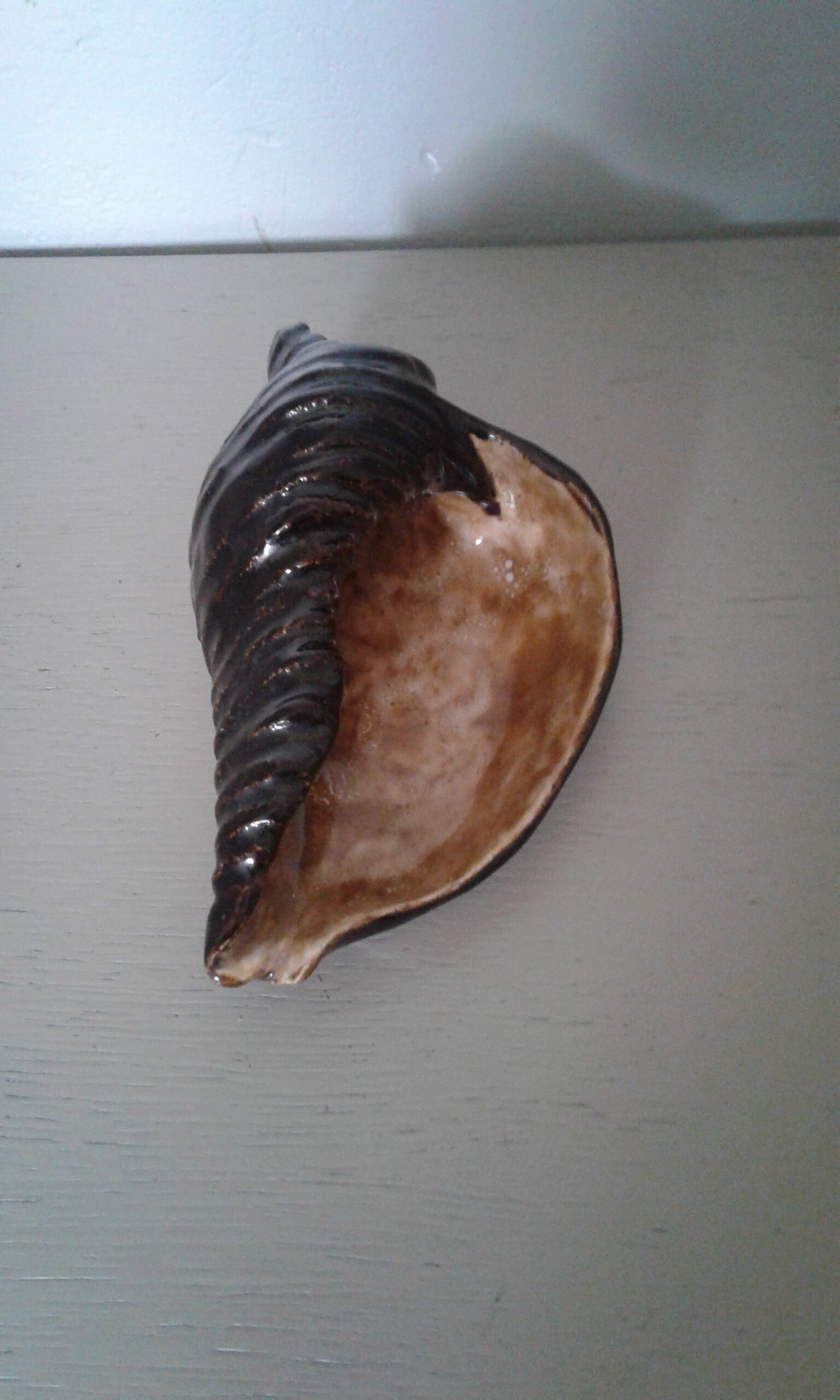 Empty dabshell signed pocket