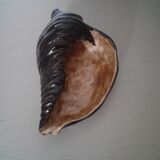 Empty dabshell signed pocket