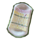Plat asperge
