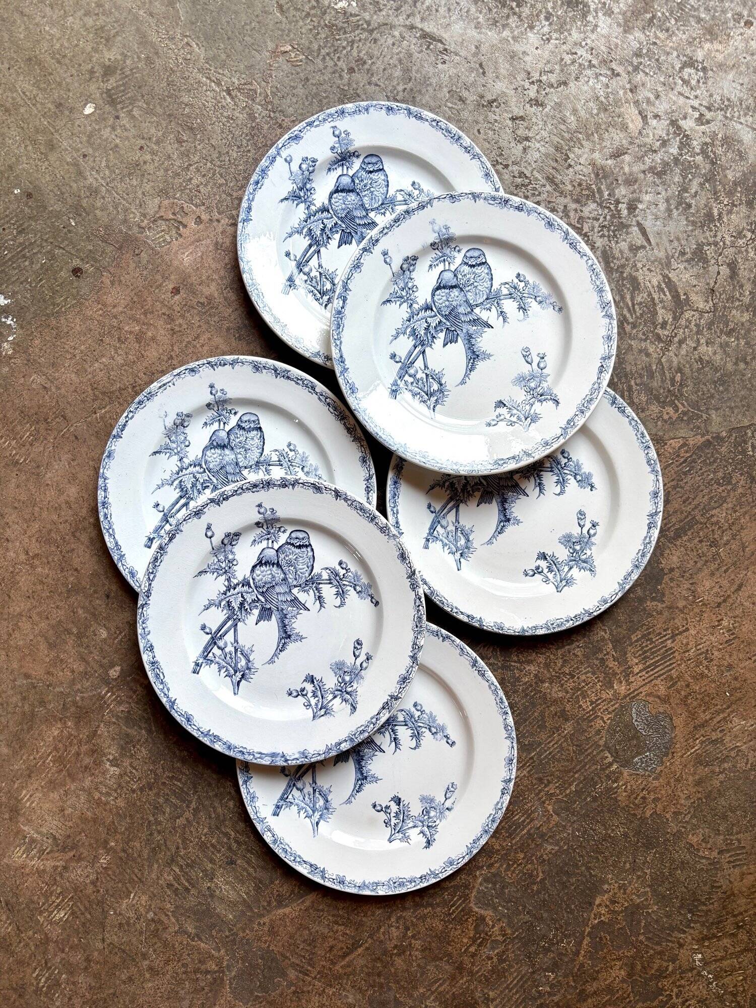 6 flat plates Clairefontaine - Léon Graves in ironstone, "Chardonnerets" service from the late 19th century.