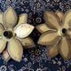 Paire d’appliques fleurs vintages Techoueyres pour Maison Jansen 70’s
