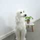 Groot Italiaans keramieken beeld chien