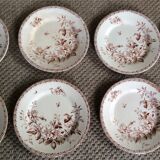 Series of 9 plates Iron Earth