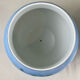 Pair of antique plant pots