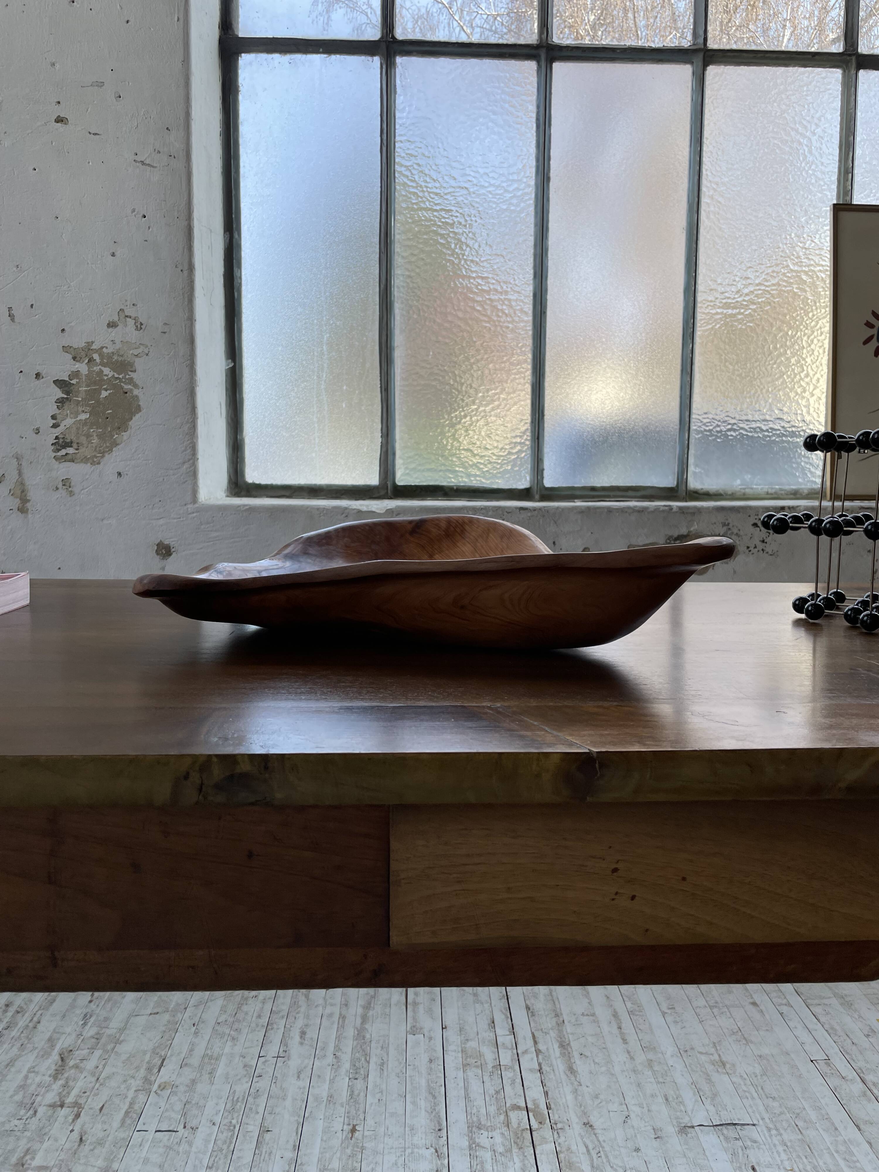XL thuja root wooden dish