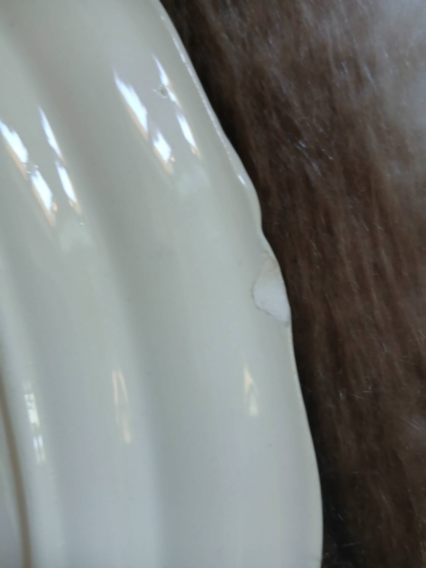 2 oval dishes in ironstone from Longchamp