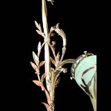 Art Nouveau wall light in bronze and frosted glass