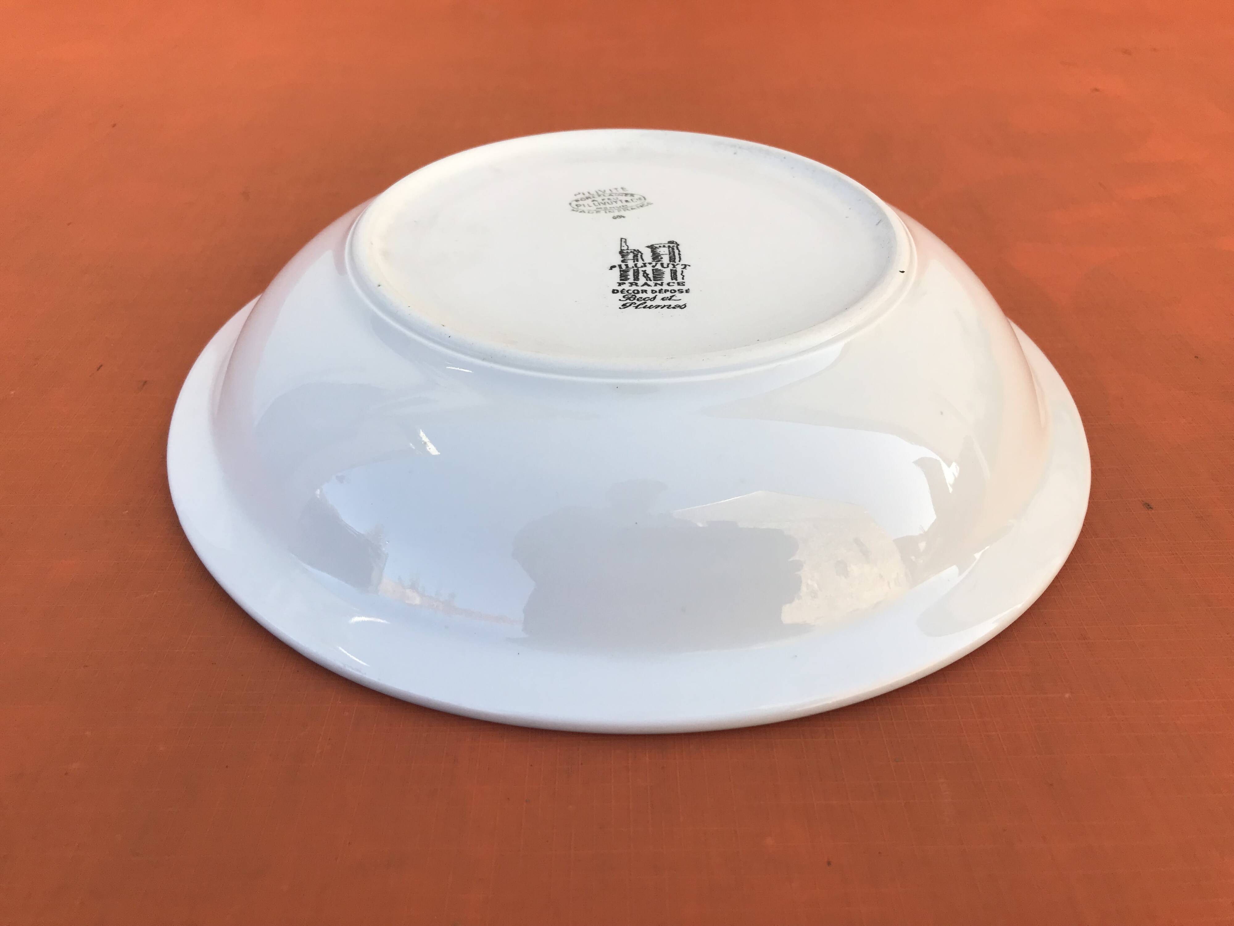 Old dish Decor Beaks and Feathers Pillivuyt France Deposited