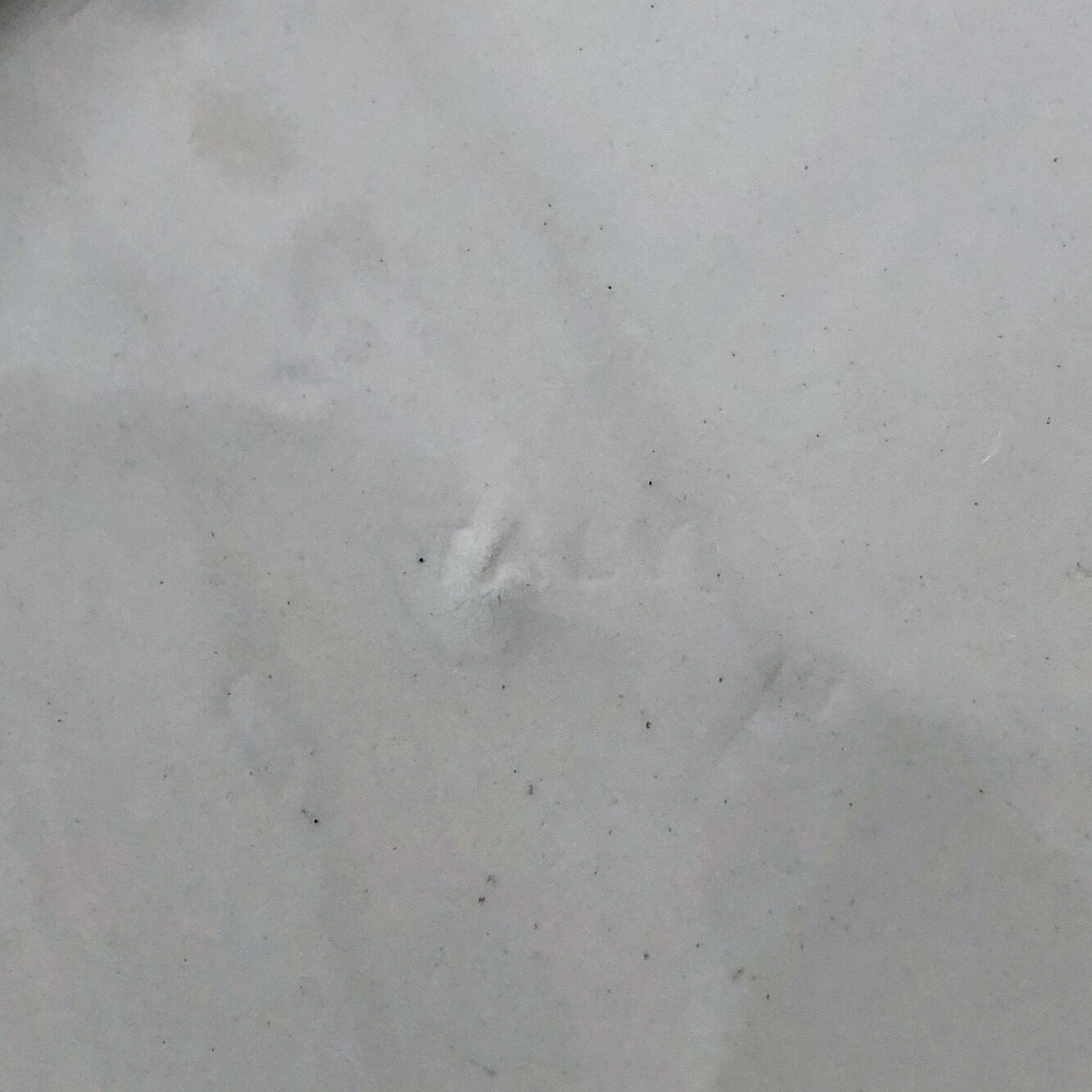 Two vintage speckled plates