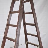 Painter's ladder