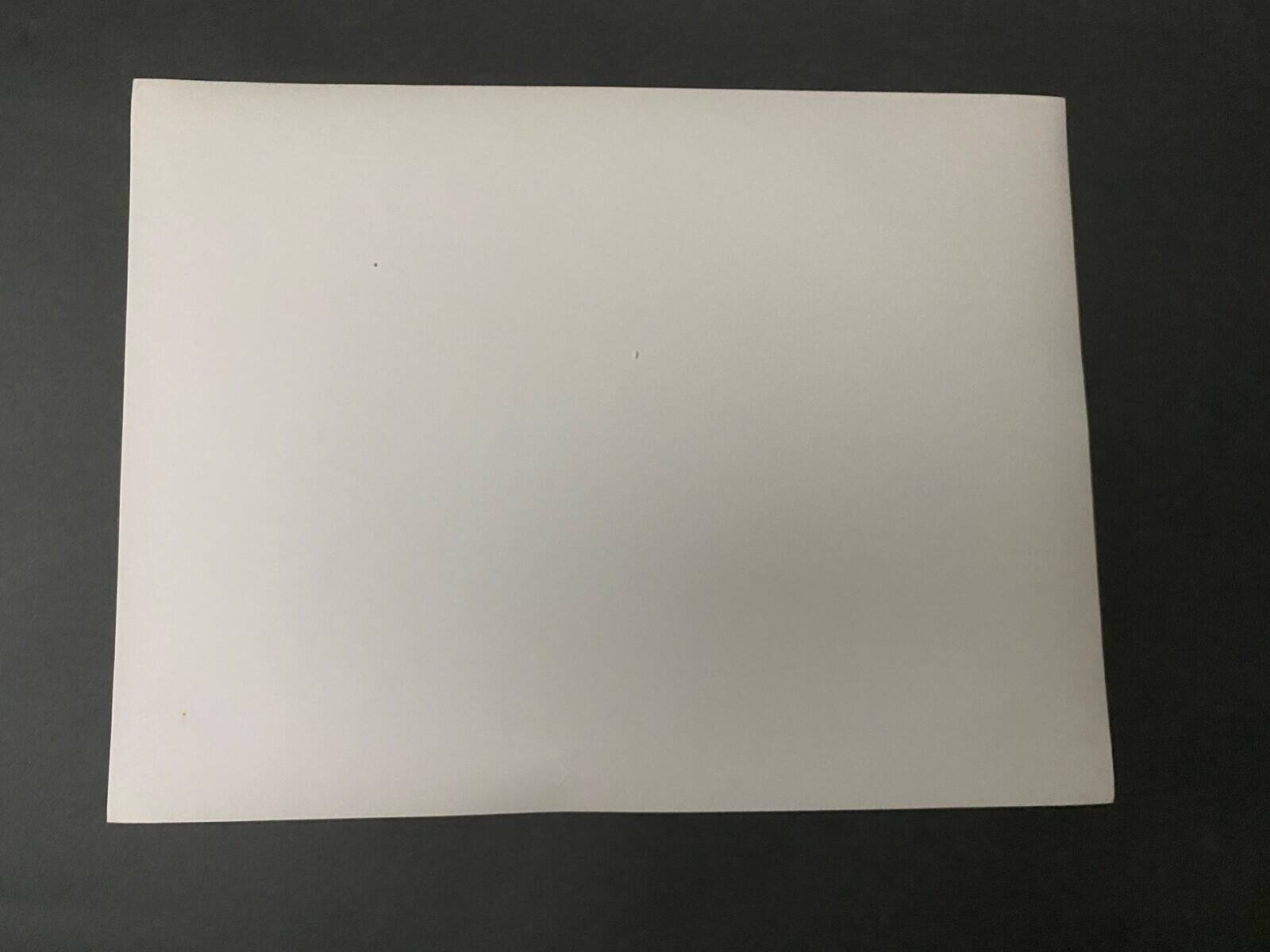 Silver photo Bernard Darot Marguerite de Foix 20th century