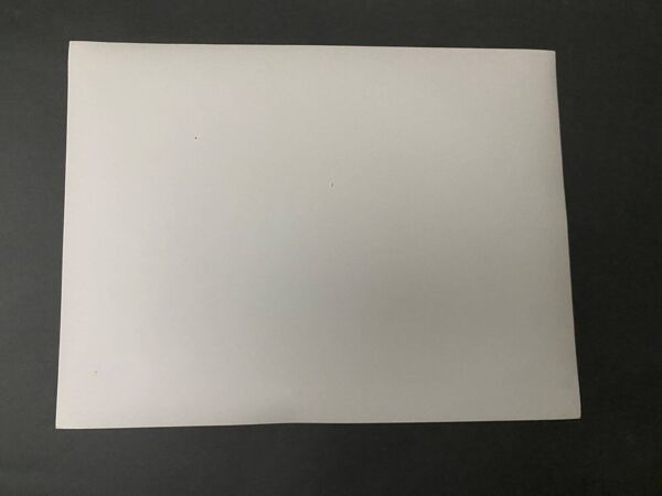 Photo argentique Bernard Darot Marguerite de Foix XXe