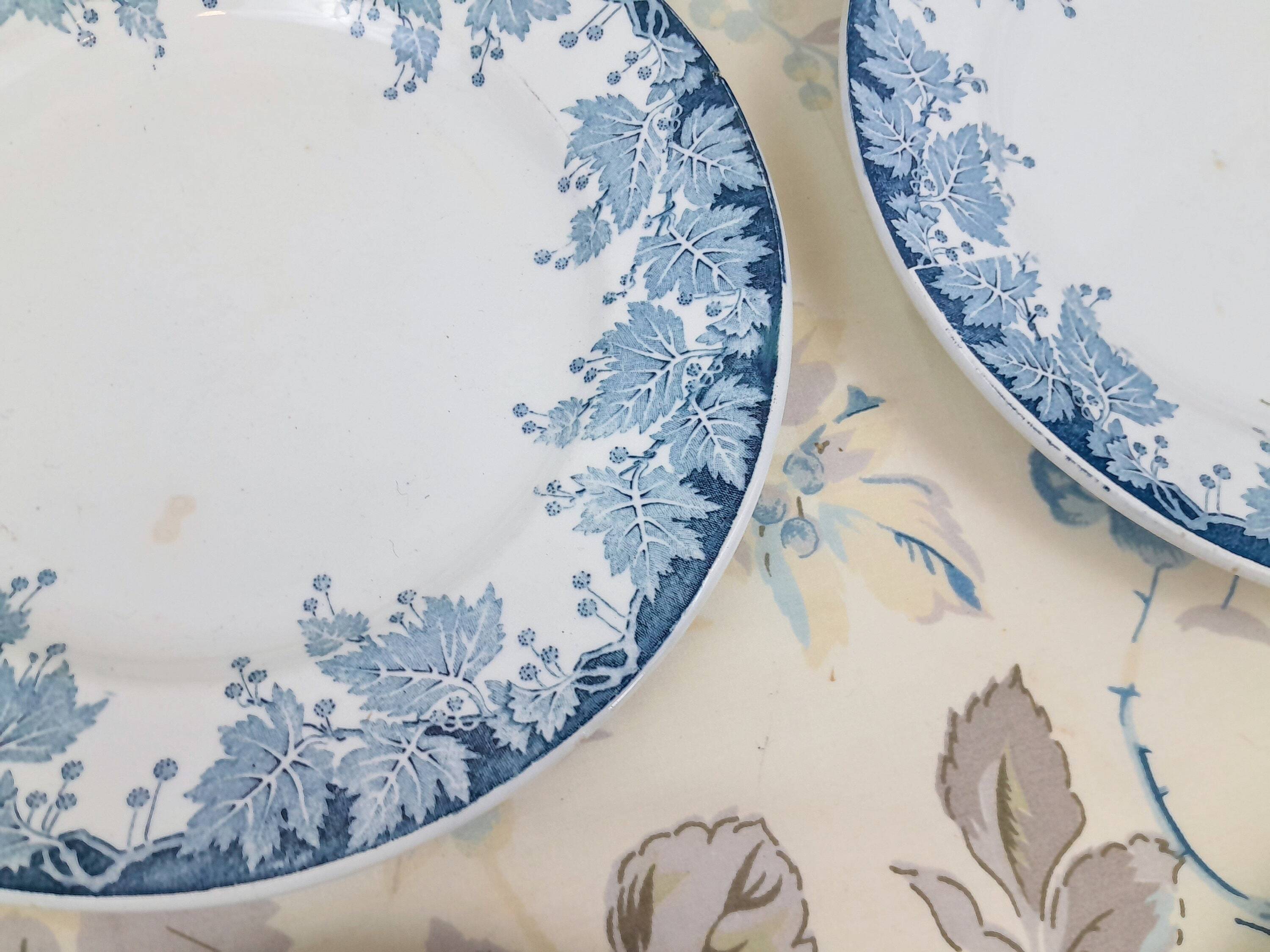 6 Assiettes plates Saint Amand Platane