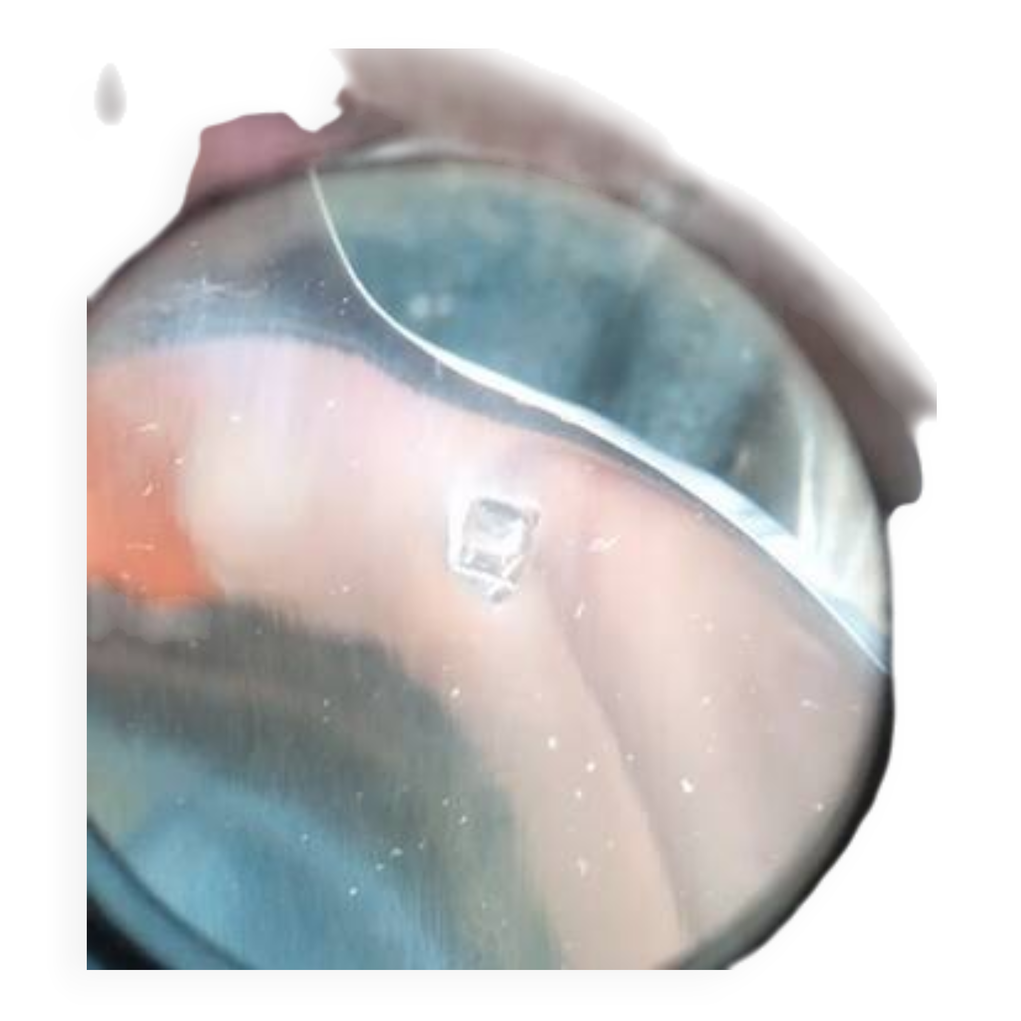 48-piece vintage silver-plated cutlery set