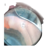 48-piece vintage silver-plated cutlery set