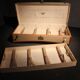 Brand trunk Moynat