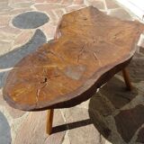 Elm tree trunk coffee table