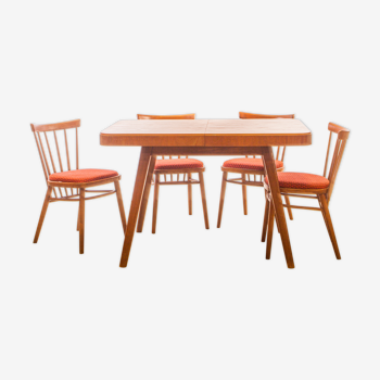 Set Table and 4 chairs Antonin Suman 1960
